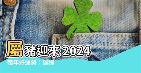 屬豬財位|2024屬豬幾歲、2024屬豬運勢、屬豬幸運色、財位、禁忌